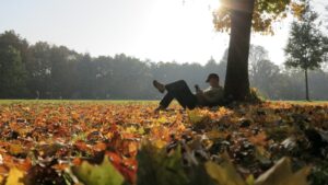 mann liegt gelassen unter einem baum, herbstlaub liegt auf der wiese verstreut